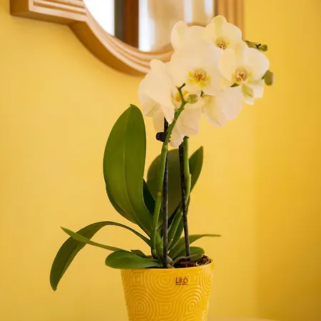 Palazzo Talamo Hotel