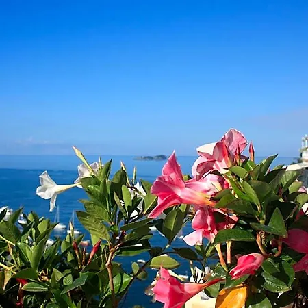 Szálloda Palazzo Talamo Positano